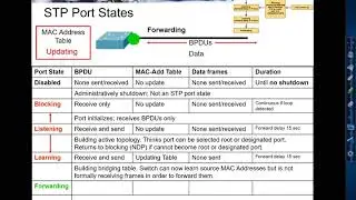 STP Port States