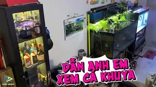 Dẫn anh em đồng ngư đi XEM CÁ KHUYA #hugoduong 