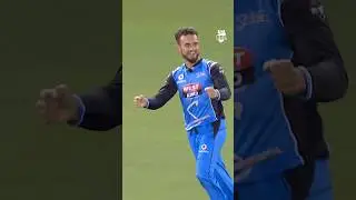 Greatest catch in BBL history❓ #bbl14 #cricket