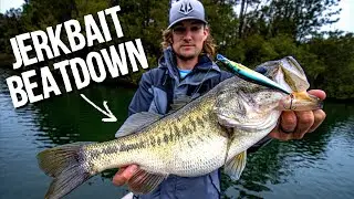JERKBAIT FISHING FOR BIG PRE SPAWN BASS