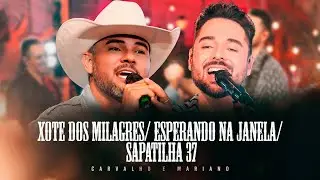 Xote dos Milagres | Esperando na Janela | Sapatilha 37 | As Mais Animadas do Sertanejo Vol. 2