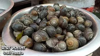 Snail Masala Fry | Snail cleaning and cooking @ChefAshishKumar