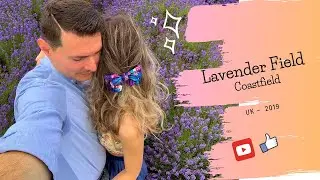 Lavender Field Cotswoldl - Places to see in UK