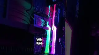 What does RAM do? - Ask cclonline.com [Part 9]