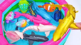 [🐠Toy ASMR🐟] Robo Golden Shark & Sea Animal Toys Swimming Inflatable Pool | Satisfying Unboxing