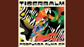 Profunda Alma (Make-A-Dance Acid Remix)
