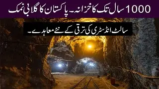 The Untapped Wealth of Pakistan: Pink Salt Industry's Global Potential