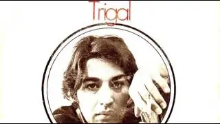 Sandro De America - Trigal (MisterG Sunset Mix)