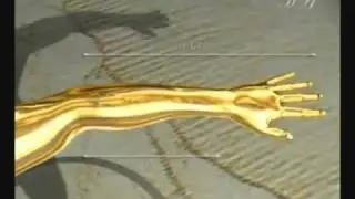 Golden Ratio in Human Body