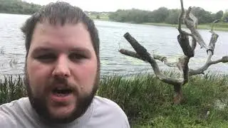 I Found the My Girl Willow Tree!- FLORIDA Filming Location.