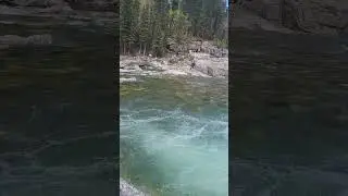 Subscribe to Nature #real