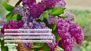 Lavanda: come usarla per creare splendide decorazioni in casa