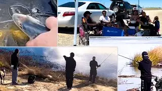Funday Fishing @ Clifton Court Forebay #shorts #viralshorts #youtube #youtubeshorts 
