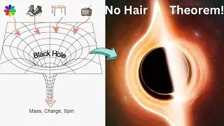 No Hair Theorem of Black Hole: The Hair-Raising Truth Behind Event Horizon