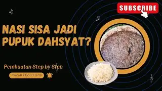 Bikin Tanah Subur Tanpa Kimia? Pakai JMS JADAM