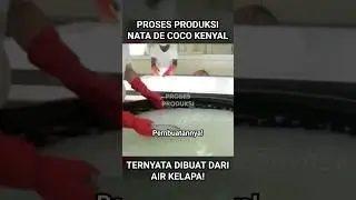 Proses Produksi Nata de Coco dari Air Kelapa | Pabrik Nata de Coco