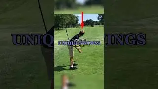 Top 12 Most Unique Swings In Pro Golf | Part 1