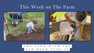 This Week on the Farm - Vlog #2