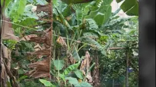 700 గజాలు స్థలం అమ్మకం