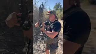 Согреваемся, наблюдая за красивой мишенью в виде бобра 🎯