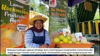 Fruitcube Agro Melon Farming