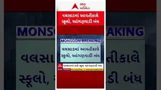 Valsad Rain Alert | વલસાડમાં ભારે વરસાદની આગાહીને પગલે આવતી કાલે સ્કૂલ-આંગણવાડીમાં રજા જાહેર