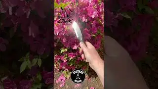 LT Wright Knives Genesis - Put that in slow motion (with @LTWrightKnives )