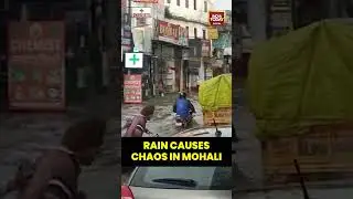 Punjab: Heavy Rainfall Causes Severe Waterlogging in Parts of Mohali #rainhavoc