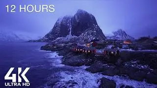 Snow Rain & Norway Ocean Waves ❄ Relaxing Ambience, White Noise & Nature Sounds by Scenic Sound