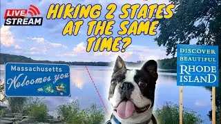 🚨LIVESTREAM🚨 HIKING 2 States At Once With Calvin The Boston Terrierist!