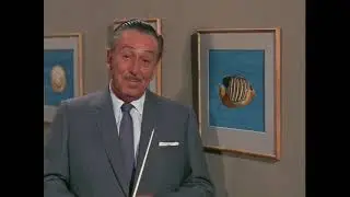 Walt Disney's 
