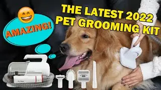 Professional Dog Grooming Kit