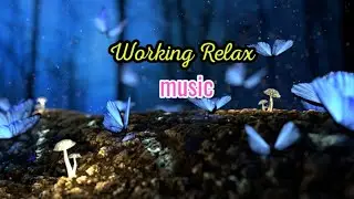 Working Relax music | stress relief music | Alone music | piano | calm music | #WonderAngel
