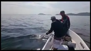Monstro na ba&iacute;a de Guanabara(Guia Rodrig&atilde;o)