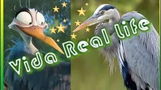 #2 MIGRATION Real Life / Vida Real PATOS