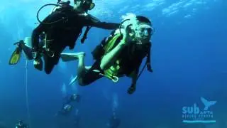 Discover scuba