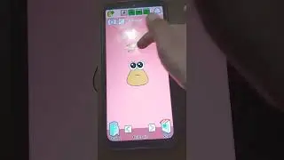pou exe