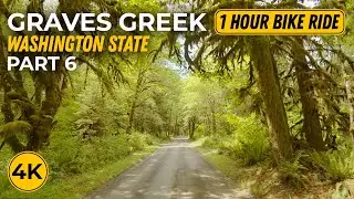 4K Scenic Forest Drive for Indoor Cycling Workout - Exploring Graves Creek Road - Bike Ride #6