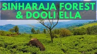 Sinharaja Forest Reserve & Dooli Ella Road Movie