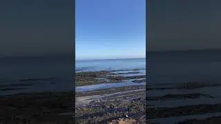 The perfect beach day
