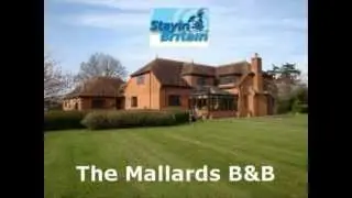 Bed and Breakfast in the New Forest