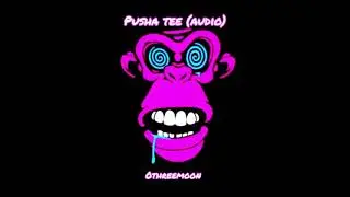 0threemoon - Pusha tee (audio)