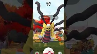 Amazing ✨Shinies✨ Caught During Origin Forme Giratina Raid Hour | Pokemon Go Raid Hour