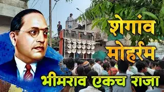 BHIMRAO EKACH RAJA • shegaon Muharram 2024 • Bhim Song • Banjo Octapad •