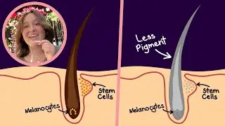 The Colorful Science Behind Gray Hair