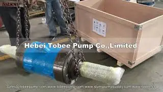 Tobee 6x4 AH Frame D Pump Bearing Assembly