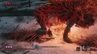 Demon of Hatred Fight | Sekiro