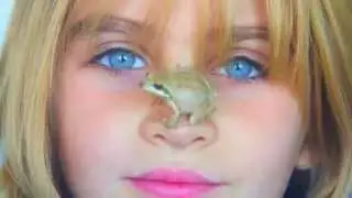 SUPER CUTE - Baja California TREE FROG | Theekholms