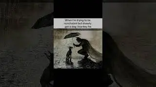 I am Batman though #batmanmemes #batmanquotes #dogmemes #dogmeme  #fortheboys #relatablememes
