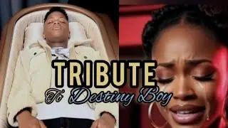 TRIBUTE TO DESTINY BOY aka Afeez Adesina - Sophie Raps (Tunes Melody Records official Song Video AI)